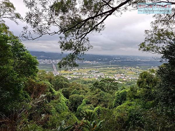 [揪人] 7/13（日）石壁坑山-中坑山-飛鳳山O型
