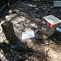 P1212299 (1).jpg