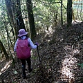 P1212309.jpg