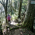 P1212310.jpg