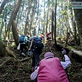 P1212319.jpg