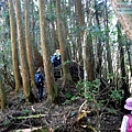 P1212317.jpg