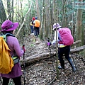P1212316.jpg