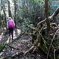 P1212323.jpg