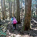P1212325.jpg