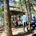 P1212335.jpg