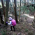 P1212348.jpg
