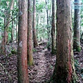 P1212344.jpg