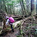 P1212346.jpg