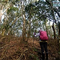 P1212350.jpg