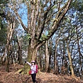 P1212351 (2).jpg