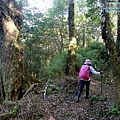P1212355.jpg