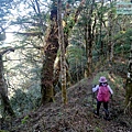 P1212354.jpg
