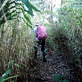 P1212356.jpg