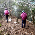 P1212366.jpg