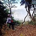 P1212365.jpg