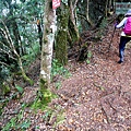 P1212369.jpg