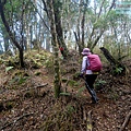 P1212370.jpg