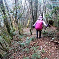 P1212371.jpg