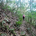 P1212376.jpg