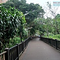 P1213875.jpg