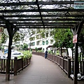 P1213873.jpg