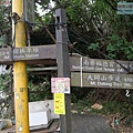 P1213880.jpg