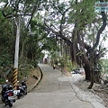 P1213881 (1).jpg