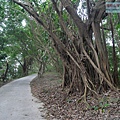 P1213885.jpg