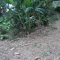 P1213887.jpg