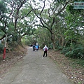 P1213883.jpg