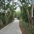P1213886.jpg