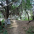 P1213889.jpg