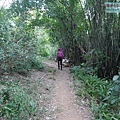 P1213890.jpg