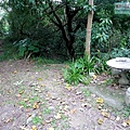 P1213891.jpg