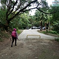 P1213900.jpg