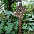P1213901.jpg