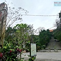 P1213907.jpg