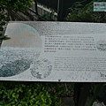 P1213919.jpg