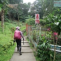 P1213931.jpg