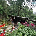 P1213932.jpg