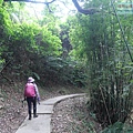 P1213934.jpg