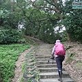 P1213933.jpg