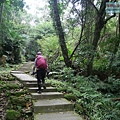 P1213940.jpg