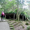 P1213941.jpg