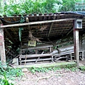 P1213942.jpg