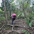 P1213948.jpg