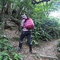 P1213945.jpg