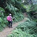 P1213944.jpg