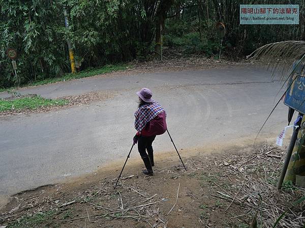 P1213999.jpg